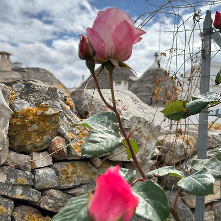 Trulli Resort Aia Piccola ألبيروبيللو المظهر الخارجي الصورة