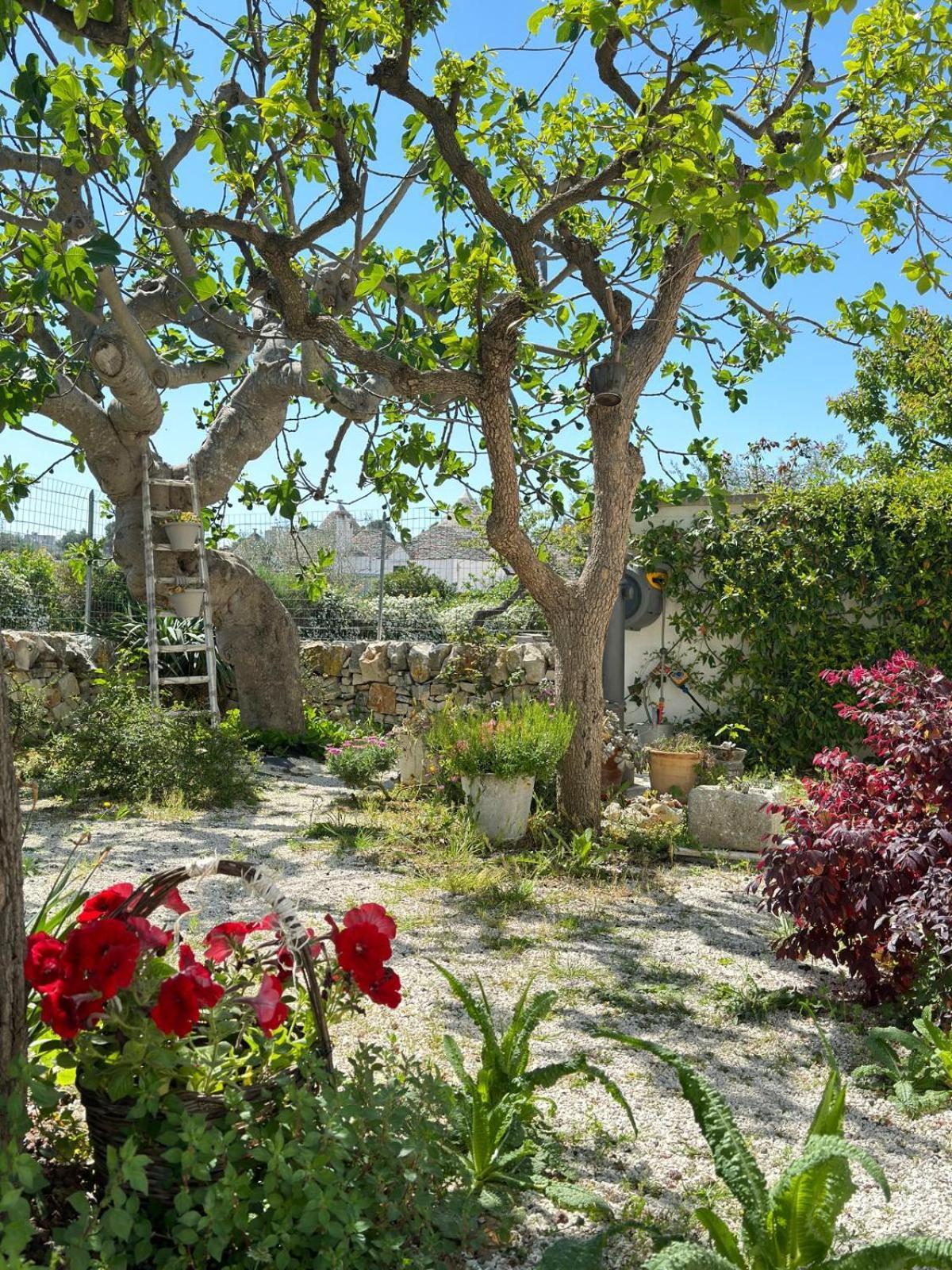 Trulli Resort Aia Piccola ألبيروبيللو المظهر الخارجي الصورة