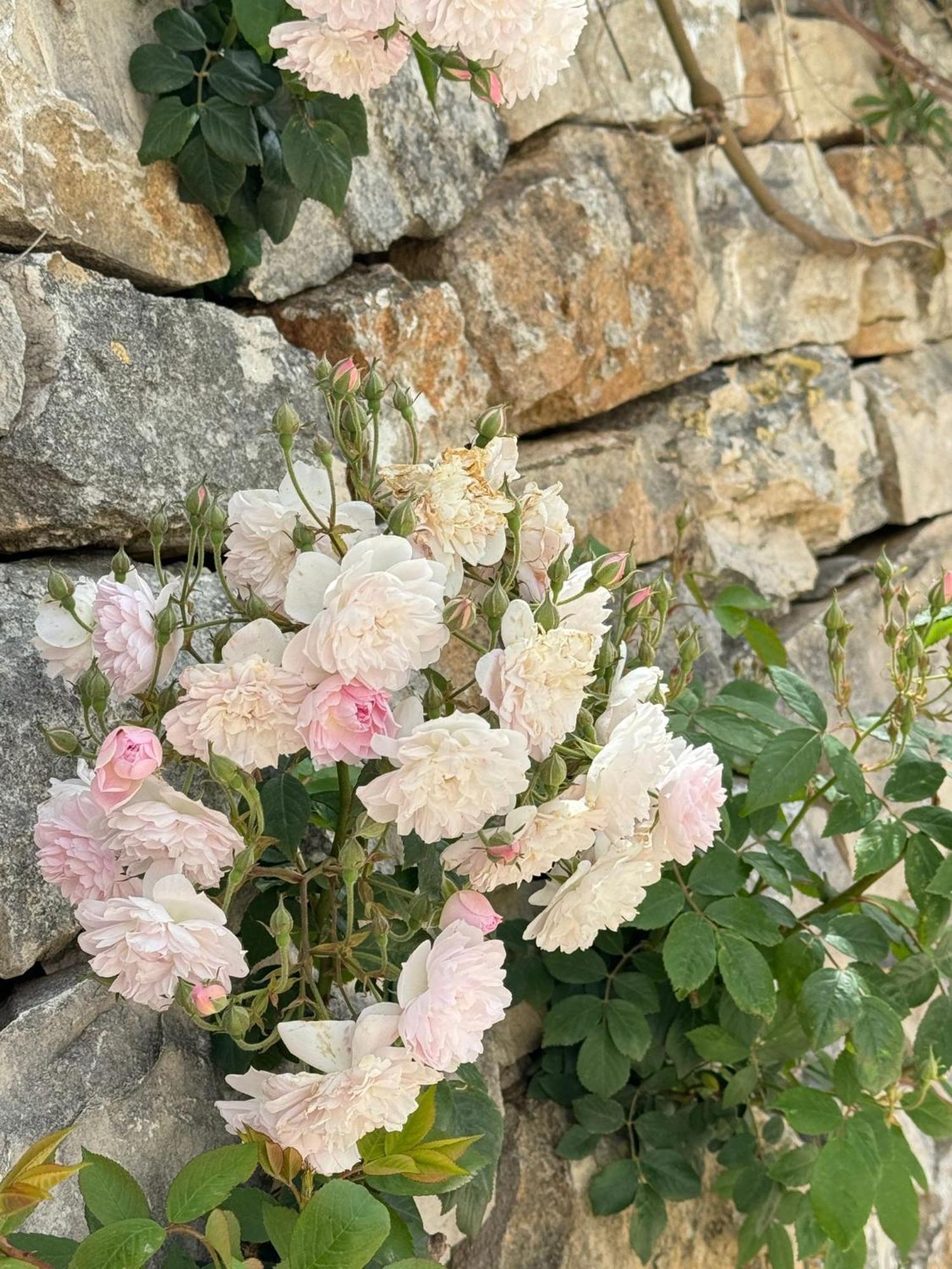 Trulli Resort Aia Piccola ألبيروبيللو المظهر الخارجي الصورة